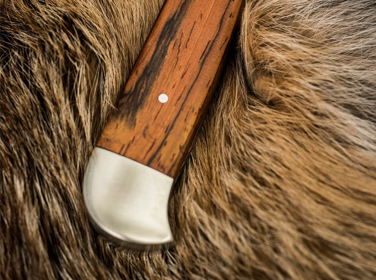 Nóż Böker Försternicker Cocobolo 4 Nóż Böker Försternicker Cocobolo – N690 – 225 mm – SHARPI – zdjęcie 4