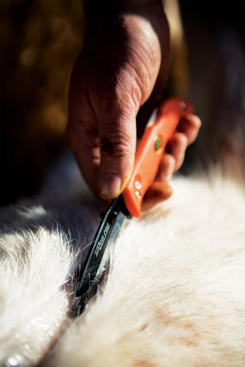 Nóż Outdoor Edge Razor Blaze Orange 2 Nóż Outdoor Edge Razor Blaze Orange – 420J2 - 57 HRC – 203 mm – SHARPI – zdjęcie 2