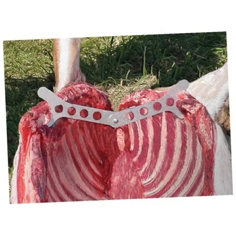 Zestaw Outdoor Edge Butcher-Lite 4 Zestaw Outdoor Edge Butcher-Lite – 1100 g – Y – SHARPI – zdjęcie 4