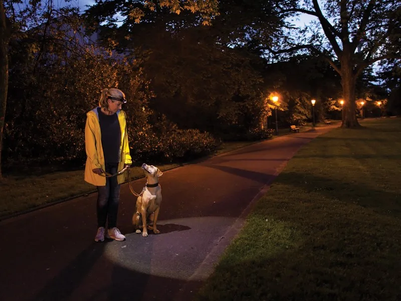 Latarka Ledlenser H3.2 3 Latarka Ledlenser H3.2 – Latarki – SHARPI – zdjęcie 3