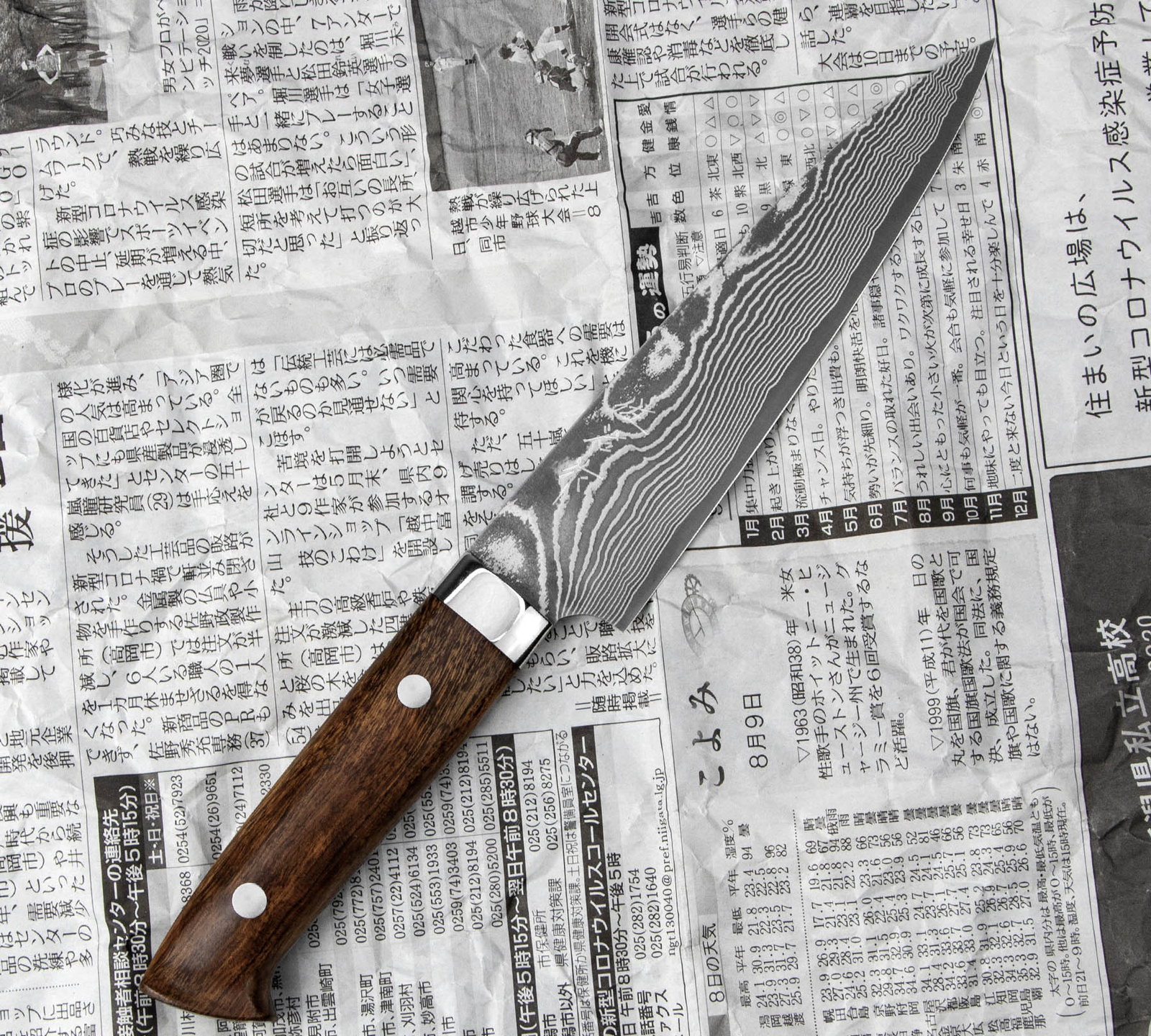 Takeshi Saji IW Ręcznie kuty nóż uniwersalny 15cm VG-10 3 H-V10D-PE-150IW