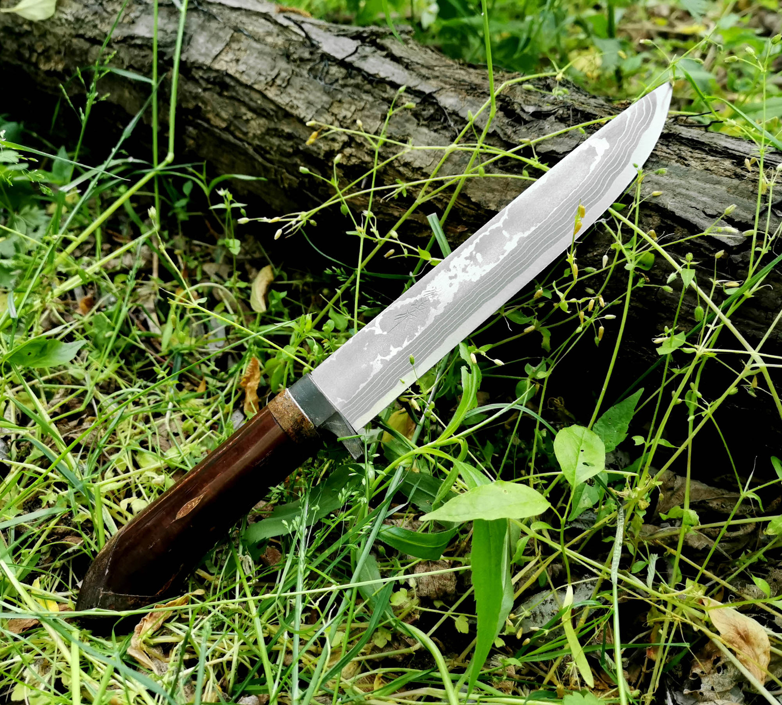 Takeshi Saji Keiryu Shirogami Nóż Outdoor 18cm 3 Keiryutou180
